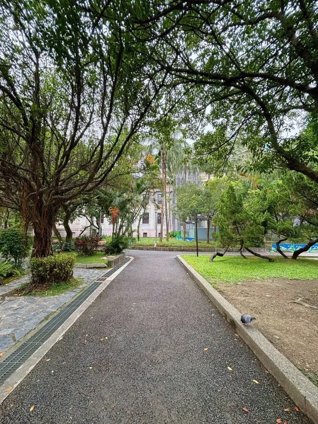 Taipei's Quiet Storytelling Corner｜228 Peace Memorial Park