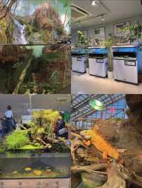 国内で唯一ラッコに会えるの水族館🦦🐚‎🫧【三重県・鳥羽】