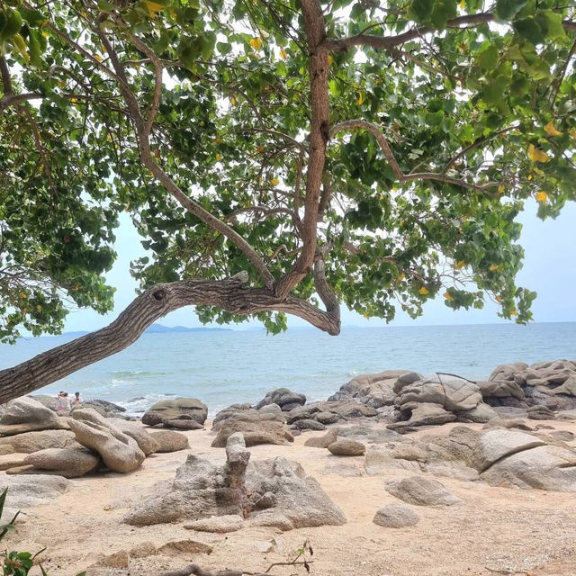 The Moment Pattaya