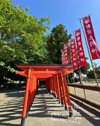 [Japan 🇯🇵] Suizenji Jojuen Koen: A Slice of Edo-Era Serenity in Kumamoto!