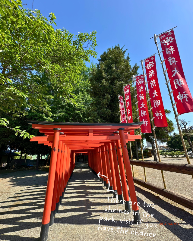 [Japan 🇯🇵] Suizenji Jojuen Koen: A Slice of Edo-Era Serenity in Kumamoto!