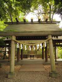 🇯🇵 Tokyo Spot | A Leisurely Stroll through Ueno Park
