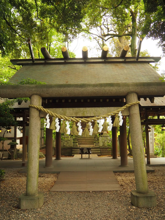 🇯🇵 Tokyo Spot | A Leisurely Stroll through Ueno Park