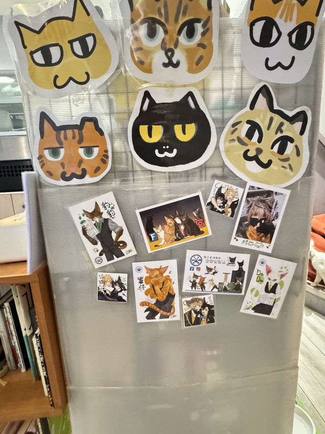 在高雄，遇見一間會「喵」的港味回憶 ——《貓之家俱樂部 Cat’s Home Club》