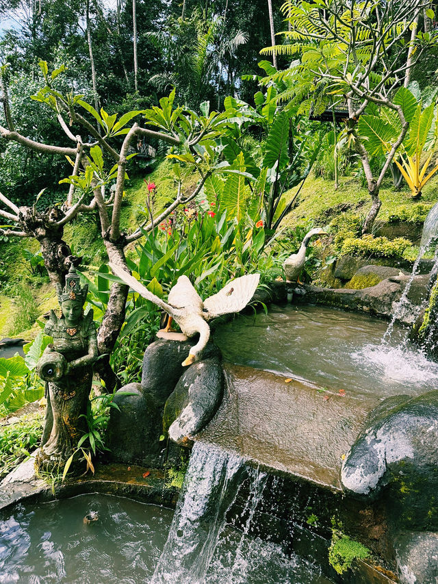The Green Stairway to Heaven – Tegallalang Rice Terrace