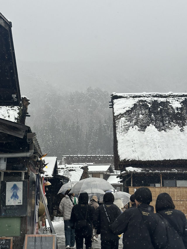 Shirakawago ลุ้นหิมะตกต้นธันวา!