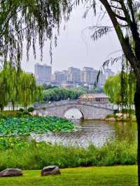 Qujiang Lake 🌺 