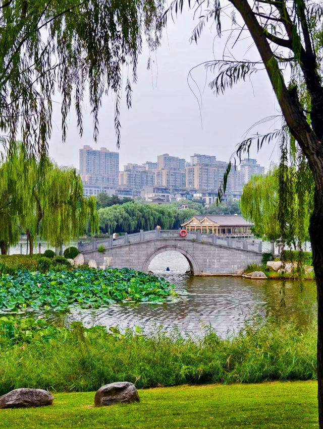 Qujiang Lake 🌺 