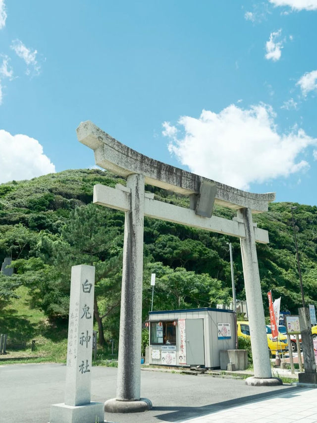 【神話の地で縁結び✨白兎神社で心清らかに】