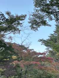【東京　新宿御苑の早朝開園がスタート】