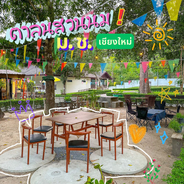 คาเฟ่ลับ🌟 อ่างแก้ว ตาลนสวนนม