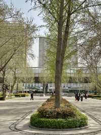 Beyond the Museum Walls: A Morning Stroll at Wenbo Park