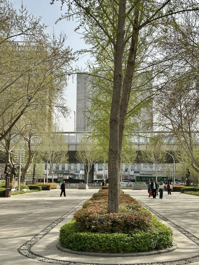 Beyond the Museum Walls: A Morning Stroll at Wenbo Park