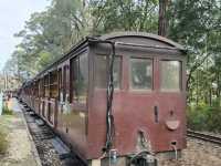Puffing Billy Railway: A Centenary Steam Train Experience in Melbourne! 🚂🌳