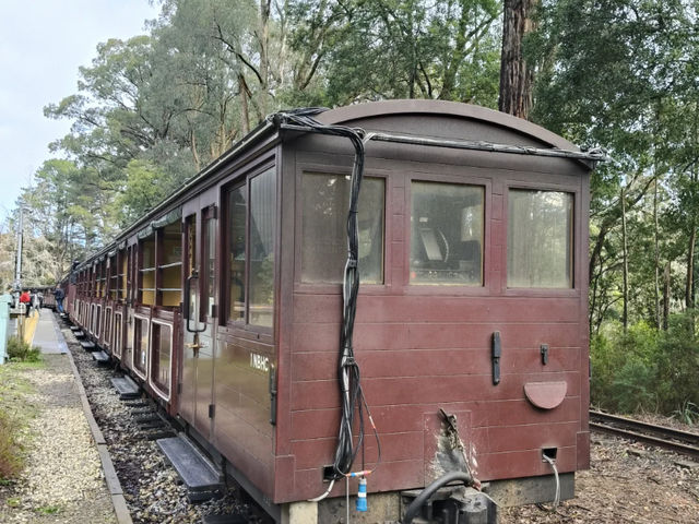 Puffing Billy Railway: A Centenary Steam Train Experience in Melbourne! 🚂🌳