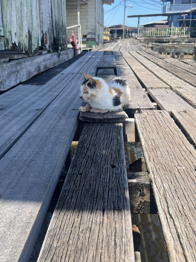 🛶 Brunei Water Village – Kampong Ayer Floating Legacy 💦