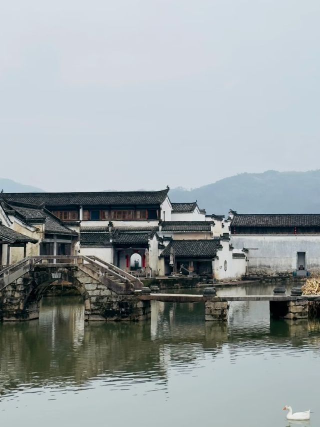 900 Years of Elegance: The Legacy of Hongcun Village