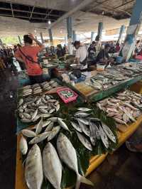 Fresh Fish & Local Life 🇮🇩🐟🌧️