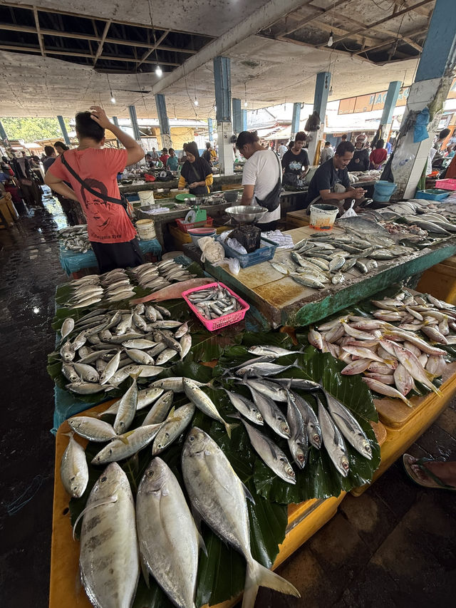 Fresh Fish & Local Life 🇮🇩🐟🌧️