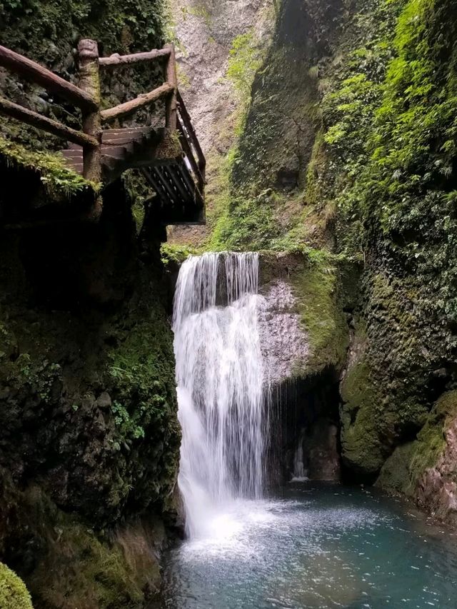 Where the Tao Whispers Through Bamboo – China’s Most Sacred Mountain Escape"