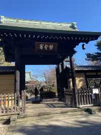 Gotokuji Temple in Tokyo