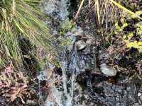 Cradle Mountain: Winter’s Embrace