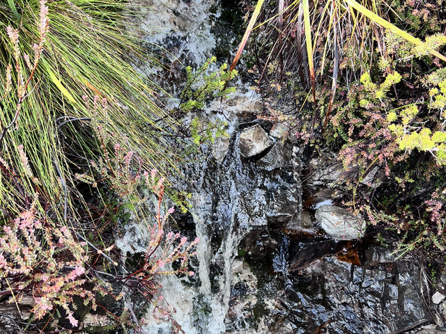 Cradle Mountain: Winter’s Embrace