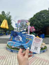 🐬 Fun & Budget-Friendly: Changsha Sea World🪼