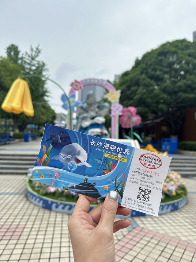 🐬 Fun & Budget-Friendly: Changsha Sea World🪼