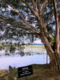 Lakeside Café – Hidden Gem by the Sepang Circuit