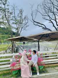 Meet Cute Animals at Begonia Bird Park