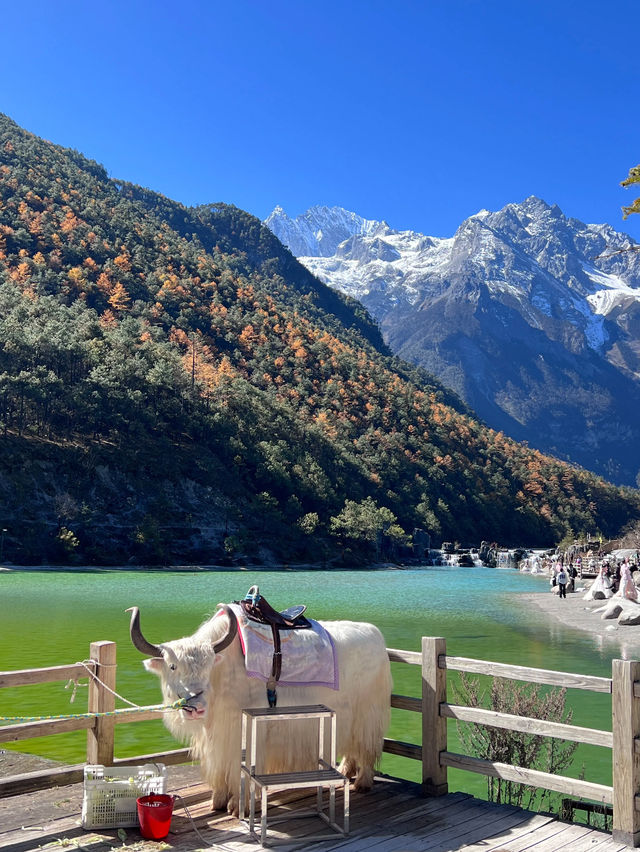 🇨🇳 Er Hai Lake - Mirror of mountains & Sky ☁️