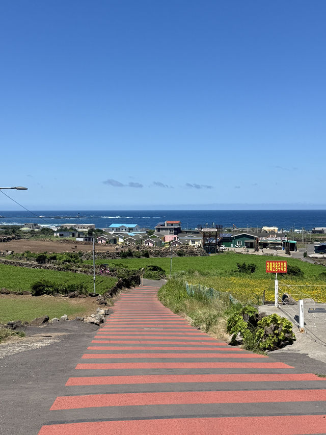 牛島、山城日出峯一日遊