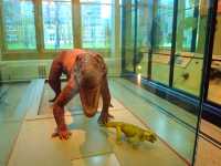Manchester Museum