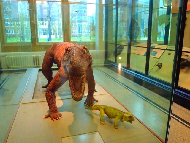 Manchester Museum