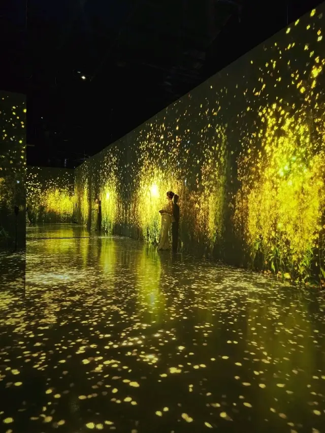 光と風が織りなす空間美。五感で感じる済州の“永遠の自然”🌿🎶