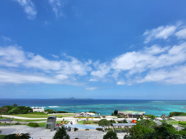 黑潮水槽震撼人心的海洋體驗/沖繩美麗海水族館