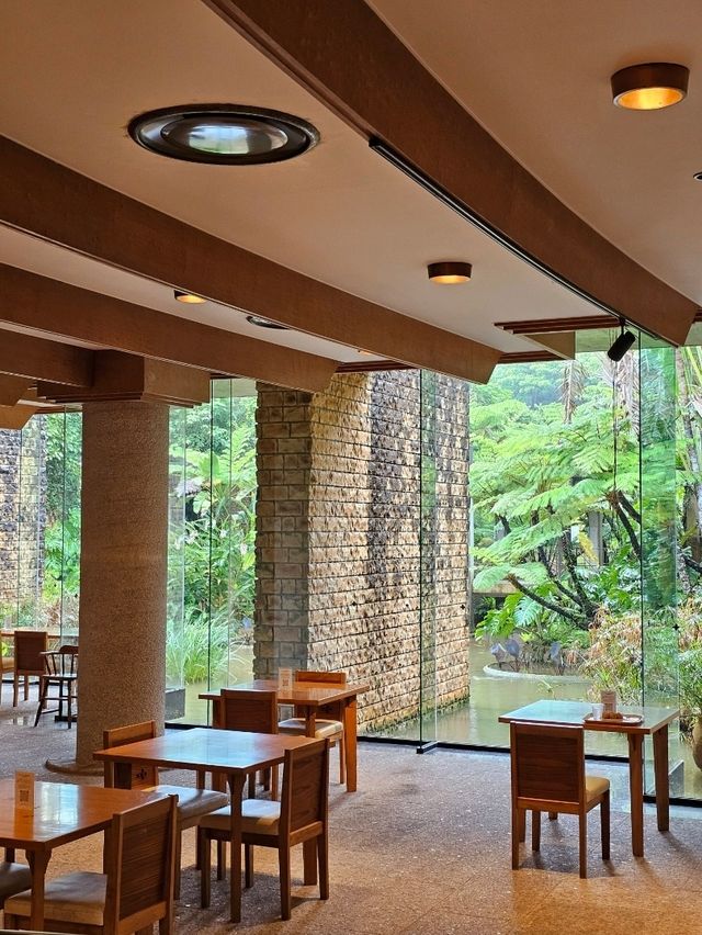 🍹南国カフェで一息、植物と海を感じるトロピカル時間。