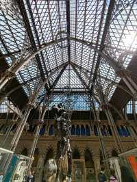 Oxford University Museum of Natural History: A Feast of Nature and History