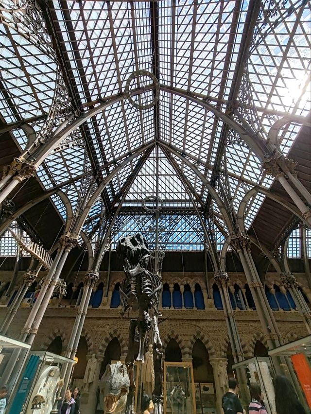Oxford University Museum of Natural History: A Feast of Nature and History