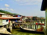 Salt, Sun, and Stories: A Morning in Pangkor’s Fish Village