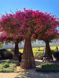 🌿 The Getty Center Garden – A Living Sculpture 🌿