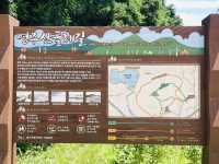 Observing Jeju's Unique Ecosystem and Flora