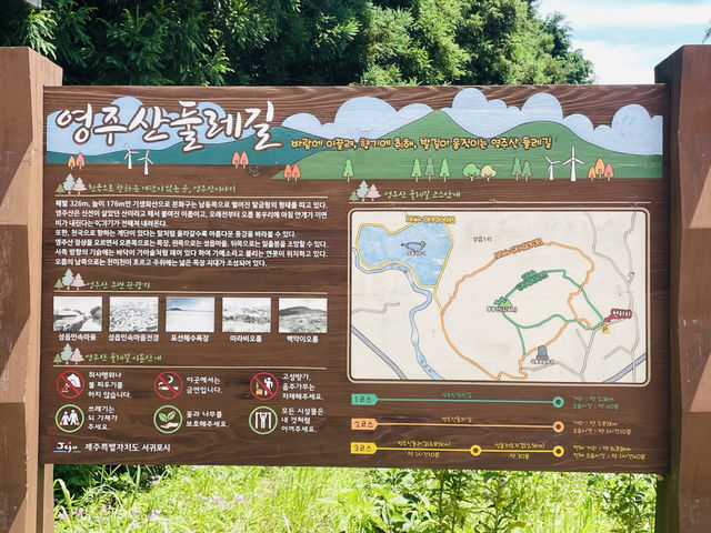 Observing Jeju's Unique Ecosystem and Flora
