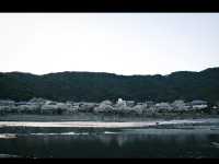 🌉錦帯橋|五連の木造アーチが描く、日本の美と技の結晶