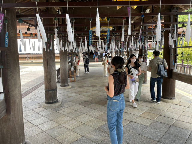 毎年真夏の清水寺を涼しく彩る風鈴まつりが今年も開催🎐🏮👘✨