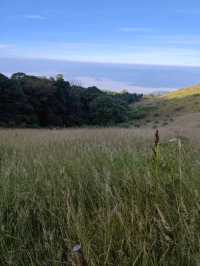 เดินhikeที่กิ่วแม่ปาน