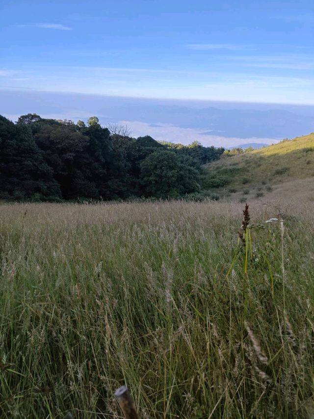 เดินhikeที่กิ่วแม่ปาน เดินhikeที่กิ่วแม่ปาน