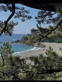 月と海と龍馬のまち。桂浜で心ほどける絶景旅