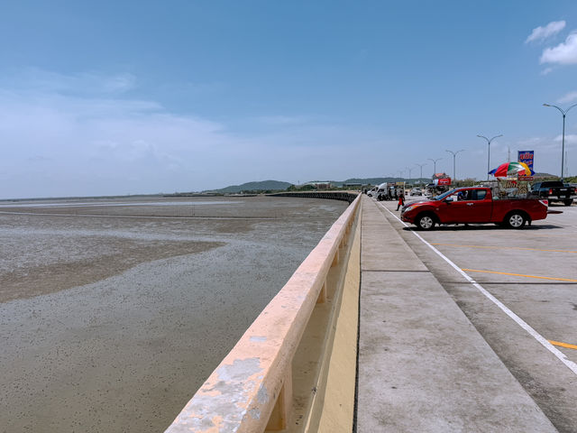 🌉✨ สะพานชลมารควิถี – สะพานคู่ขวัญเมืองชลบุรี ✨🌊